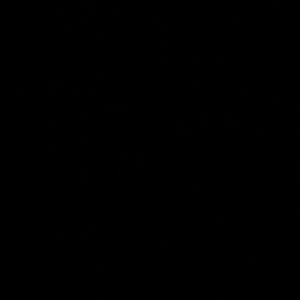 Meet your Posher, Cesar